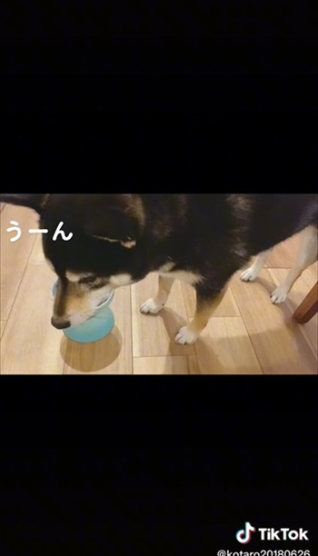 おしるこは苦手だった琥大朗くん