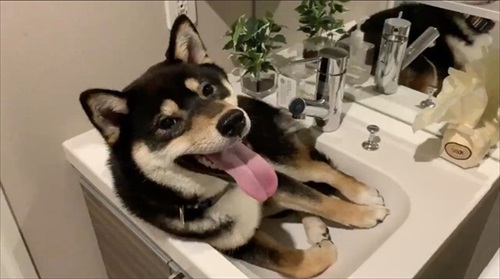 足拭きする琥大朗くん