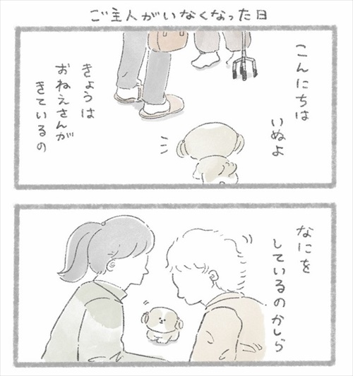 足が不自由なご主人とシーズーさん