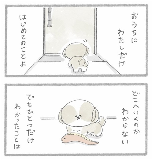 足が不自由なご主人とシーズーさん
