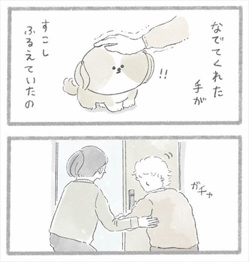 足が不自由なご主人とシーズーさん