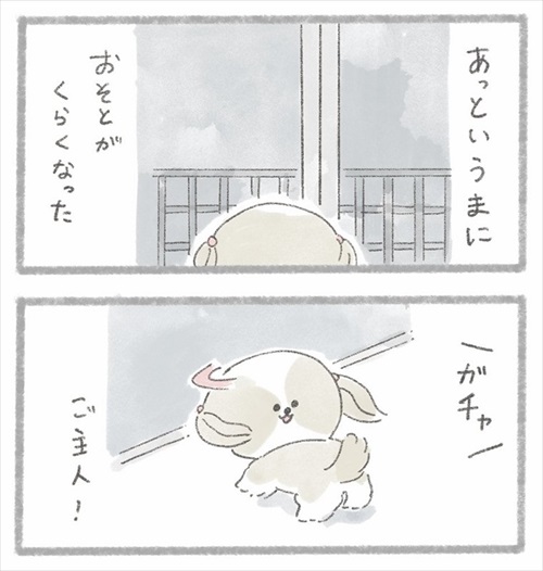 足が不自由なご主人とシーズーさん