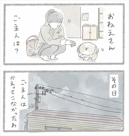 足が不自由なご主人とシーズーさん