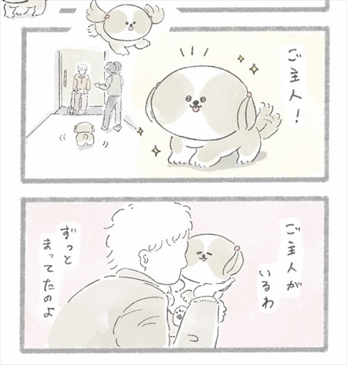 足が不自由なご主人とシーズーさん