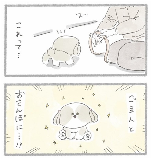 足が不自由なご主人とシーズーさん