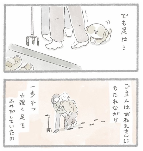 足が不自由なご主人とシーズーさん