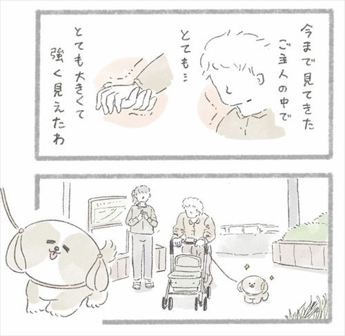 足が不自由なご主人とシーズーさん