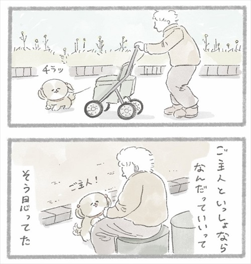 足が不自由なご主人とシーズーさん