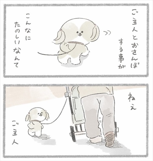 足が不自由なご主人とシーズーさん