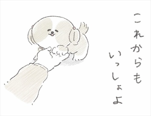 足が不自由なご主人とシーズーさん