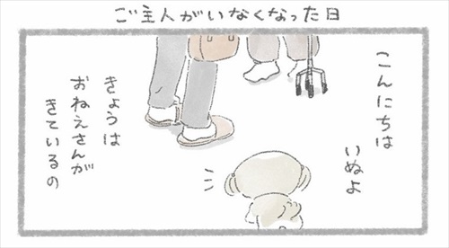 シーズーさんの家にお姉さんがきた