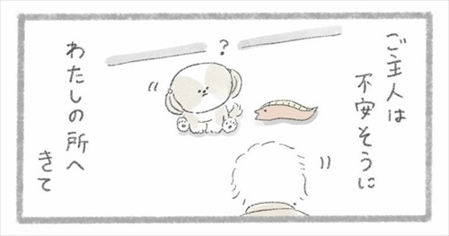 ご主人がシーズーさんの元へ