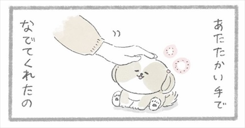 シーズーさんの頭をなでるご主人