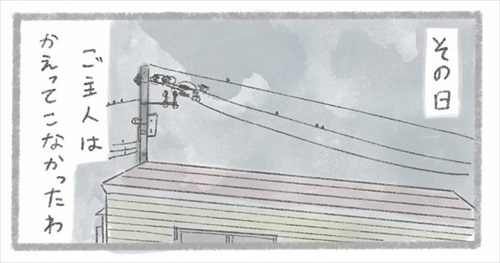 帰宅しなかったご主人