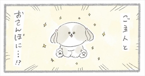 ご主人との散歩に期待をふくらますシーズーさん