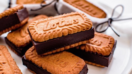 ロータス 生チョコサンド バレンタイン