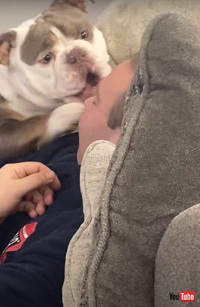 ガンを飛ばすワンコ