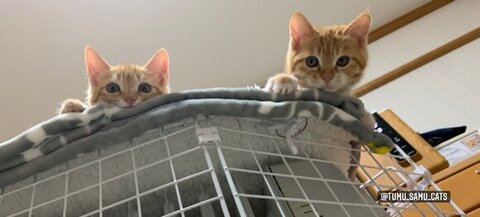 上から見下ろすふたり