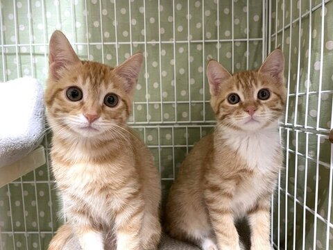 ツムサムのツーショット