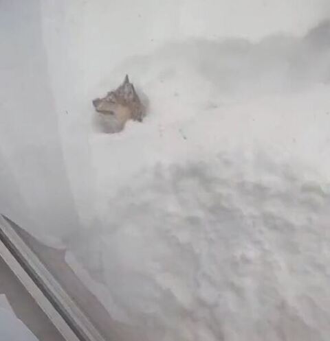 笑顔の豆くん