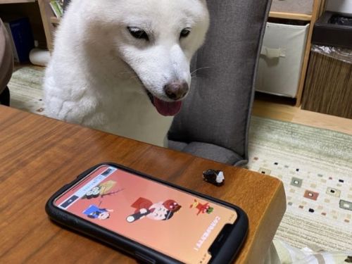 節分のきなこちゃん