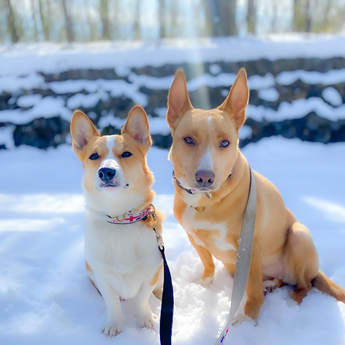 アルくんとアイちゃん