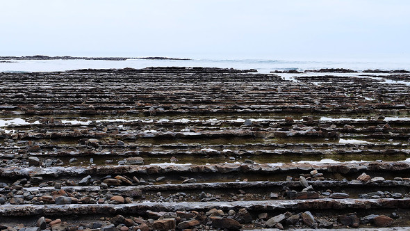 【PR】 PPIH ドン・キホーテ 情熱価格 白さ続く白 色褪せ知らずの黒 地主恵亮