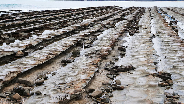 【PR】 PPIH ドン・キホーテ 情熱価格 白さ続く白 色褪せ知らずの黒 地主恵亮