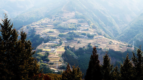 【PR】 PPIH ドン・キホーテ 情熱価格 白さ続く白 色褪せ知らずの黒 地主恵亮