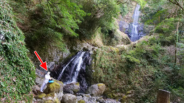 【PR】 PPIH ドン・キホーテ 情熱価格 白さ続く白 色褪せ知らずの黒 地主恵亮