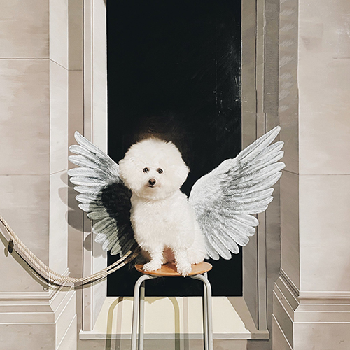 翼の生えたプンちゃん