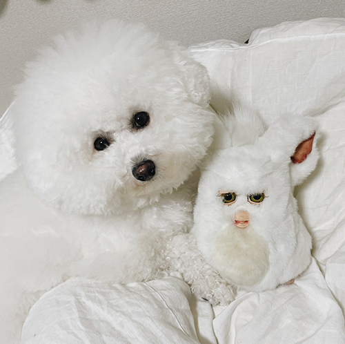 ファービーとプンちゃん