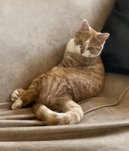 振り返る虎太郎くん