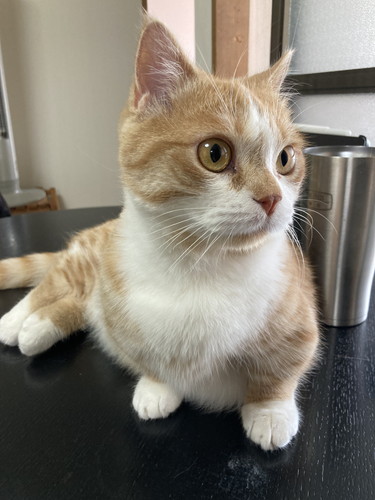 何かを発見した虎太郎くん