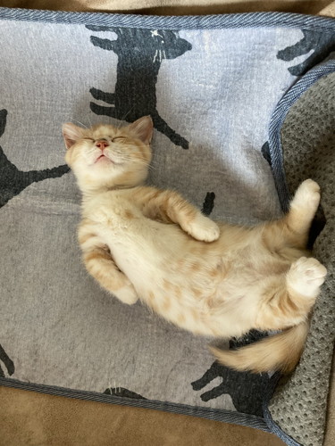 虎太郎くんの小さな頃