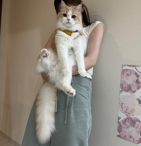 生後9カ月のこなつくん