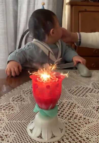 育児  誕生日 1歳 子育て ドリームキャンドルデラックス
