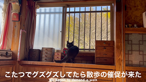 キレ気味天くん