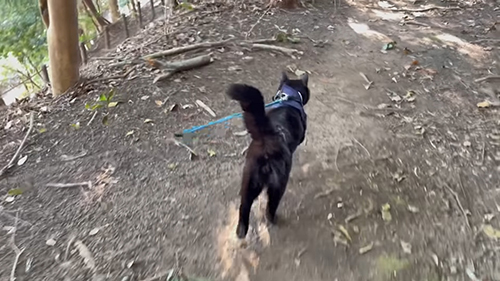 ルンルンな天くん