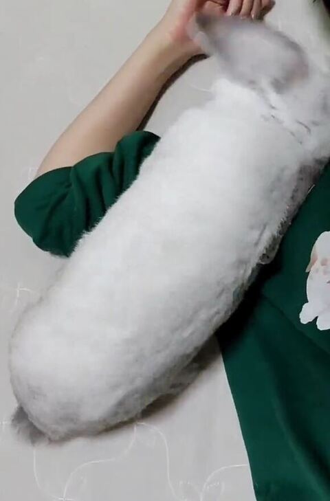 ゴロンとするむみくん