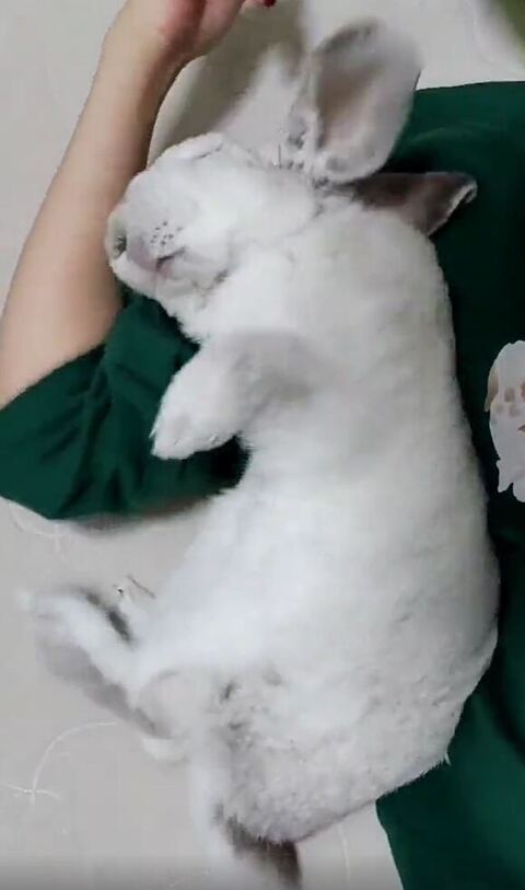 あおむけになったむみくん