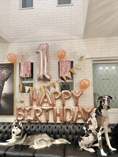 ほたてちゃんの1歳の誕生日