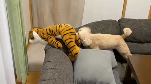 自分の席だからとぬいぐるみをどかす