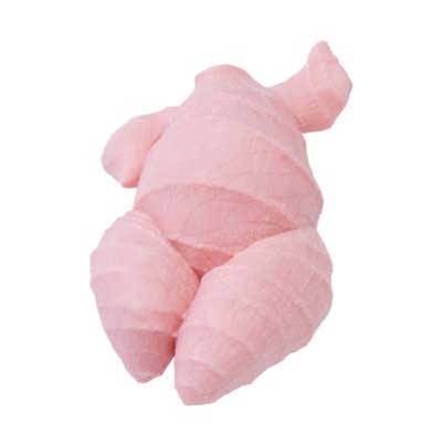 生姜 すり下ろし 消しゴム しょうがなイレイザー カプセルトイ