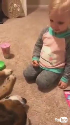 「Little Girl Scolds Dog For Chewing Up Toys - 1289389」