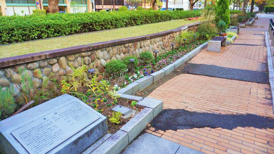 神戸駅弁淡路屋の神戸デリカ