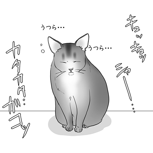 ウトウトする猫