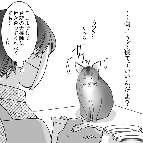 眠気を我慢する猫