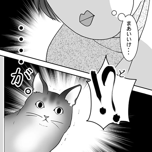 飼い主を見つめる猫