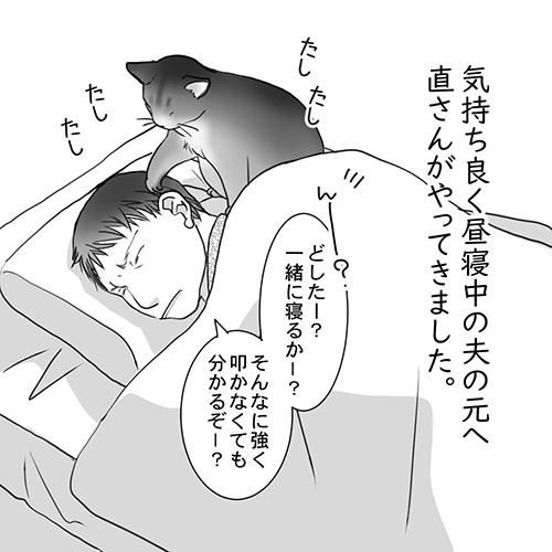 夫にアピールする猫